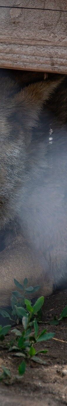 大熊湖动物园-大熊湖