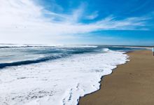 Cape Point Beach景点图片