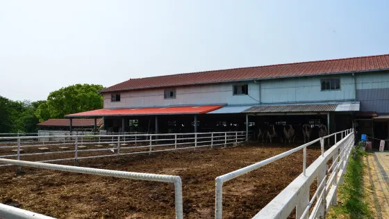 淡路島牧場