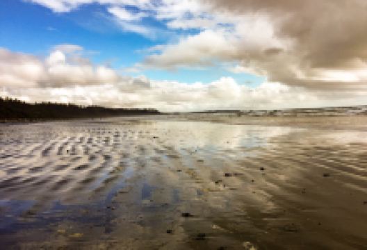 Long Beach景点图片
