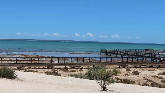 Hamelin Pool Marine Nature Reserve