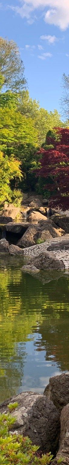 莱茵休闲公园-波恩