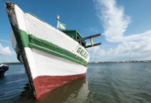 Dunas de Camocim景点图片