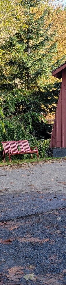 Drift Creek Covered Bridge-林肯县