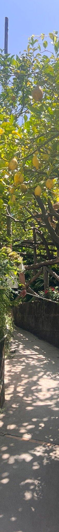 I Giardini di Cataldo-索伦托