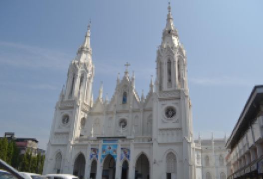 Bible Tower景点图片