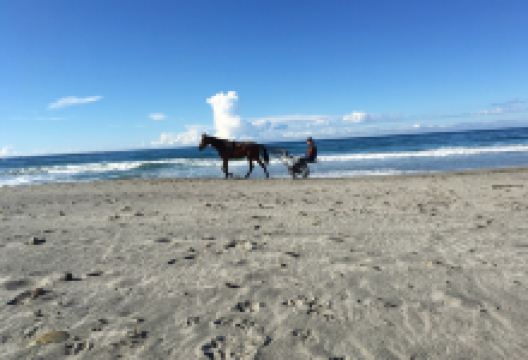 Refsnes Beach景点图片