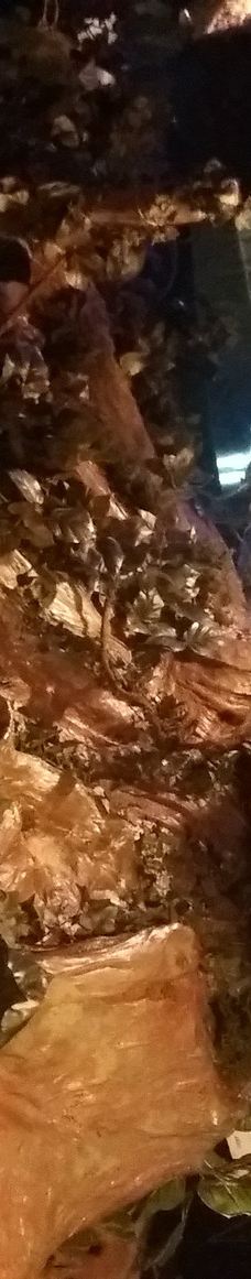 L'Alchimiste-斯特拉斯堡