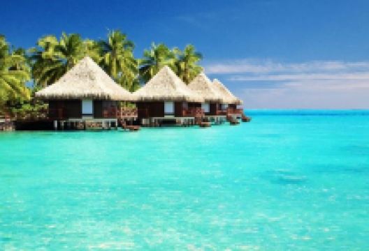 SeaSide Orchid Farm景点图片