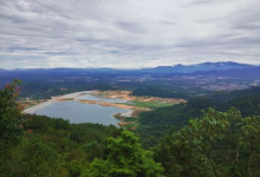 大山脚休养林景点图片
