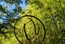 Le Jardin Les Bambous du Mandarin景点图片