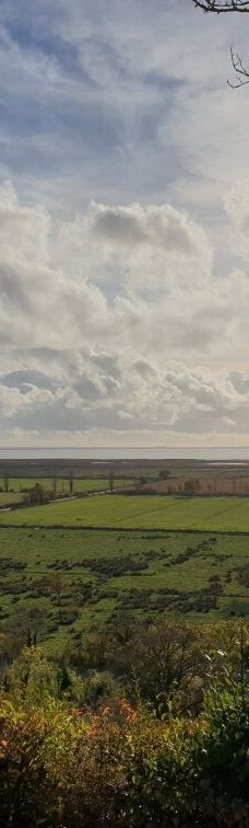 Ermitage Saint-Martial-吉伦特河畔莫尔塔涅