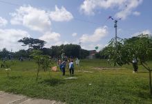 Parque Cuidadela de la paz景点图片