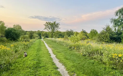 Elm Creek Park Reserve - Dog Off-leash Area