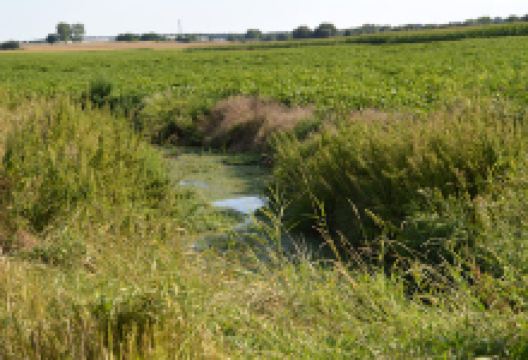 Ujście Malni景点图片