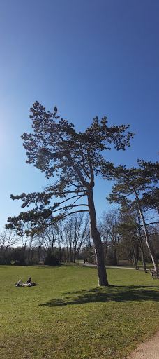 Parc de Champagne-兰斯