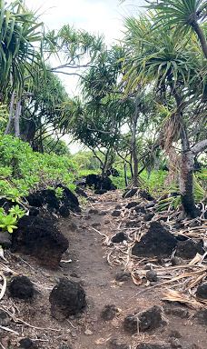 Ke Ala Loa O Maui / Piilani Trail-哈纳