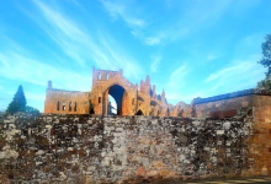 Neth Hill Border Collies景点图片