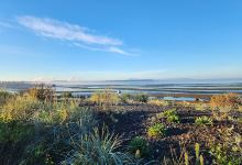 Birch Bay Beach Access North Entrance景点图片