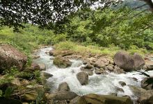 蓬莱溪护鱼步道景点图片