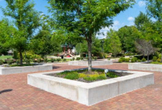 Tennessee Street Park景点图片