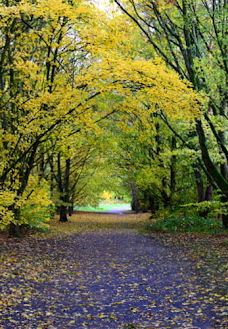 Parc des Gayeulles-雷恩