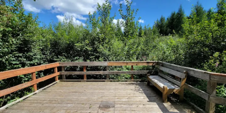 Findlay Creek Boardwalk