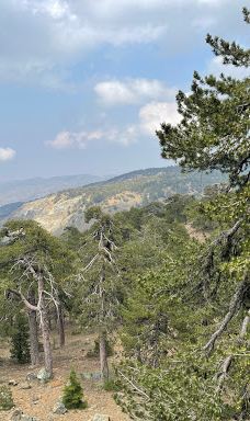 奥林匹斯山-特罗多斯山