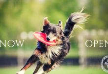 Centennial Dog Park景点图片