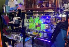 RJ’s BARGAIN JUNKTION FLEA MARKET LLC购物图片