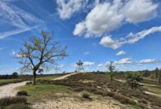 Uitkijktoren De Afferdense Duinen景点图片