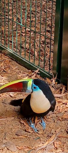 Butterfly Park Empuriabrava-Alt Emporda