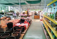 Altamira Garden Center购物图片