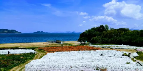 Flower Park Urashima