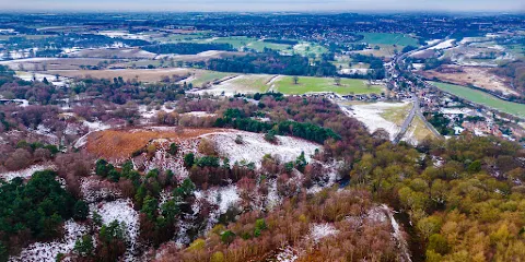 Cannock Chase Forest