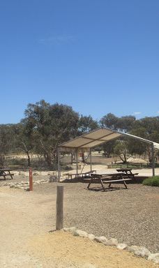 Giraffe Lookout-默里布里奇