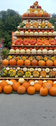 Oskarshausen-Sachsische Schweiz-Osterzgebirge