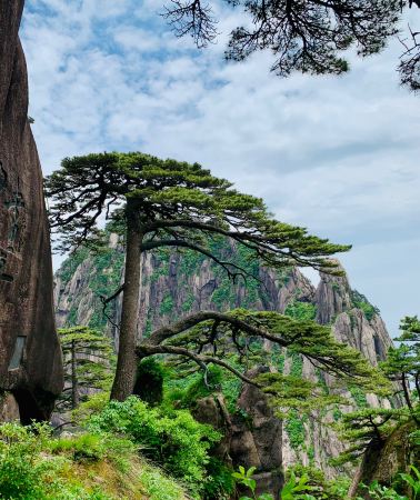 3D2N • Anhui Huangshan Scenic Area + Hongcun Village