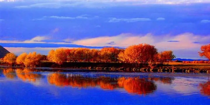 黃河國家濕地公園