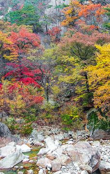 Seoraksan National Park Osaek Zone-襄阳