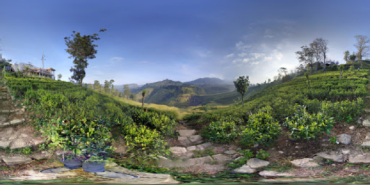 St. Clair Viewing Gallery Restaurant餐厅图片