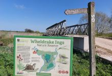 Wheldrake Ings Nature Reserve景点图片