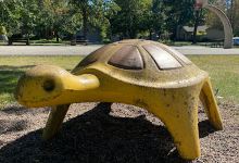 Walter Zych Park景点图片