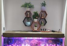 Sudhir Fish Aquarium Tops购物图片