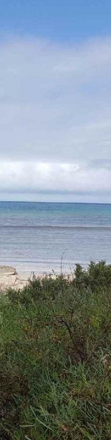 维克多港-维克多港