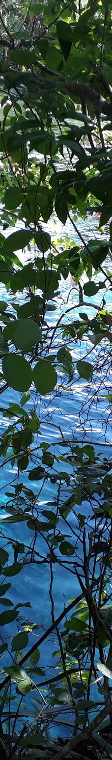 Cenote Azul-索里达瑞达德