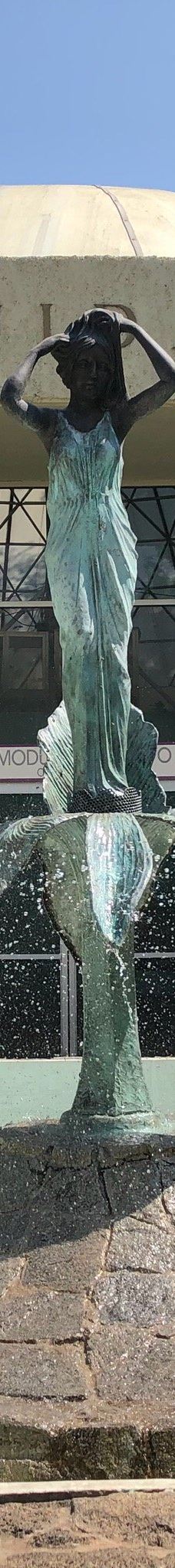 Orquidario de Morelia-莫雷利亚