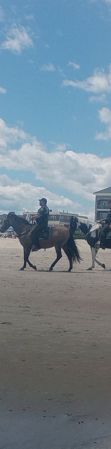 Hampton Beach State Park-汉普顿