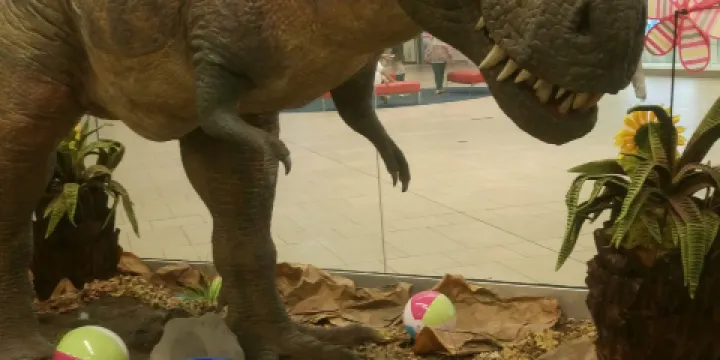 Imaginarium of South Texas