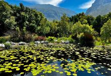 Harold Porter National Botanical Gardens景点图片
